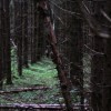 title_12
